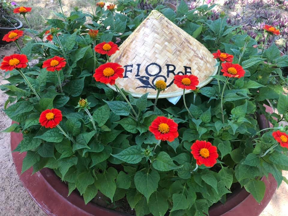 FIORE HEALTHY RESORT