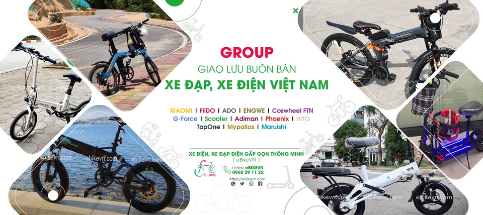 Hiệp hội Xe điện Việt Nam 