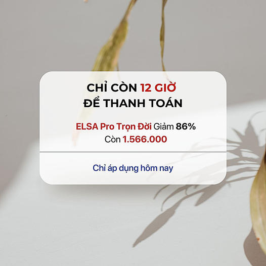 ELSA Speak Vietnam