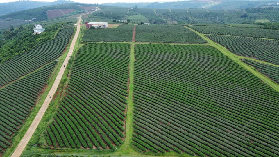 Hội đầu tư nhà đất Di Linh, Lâm Đồng