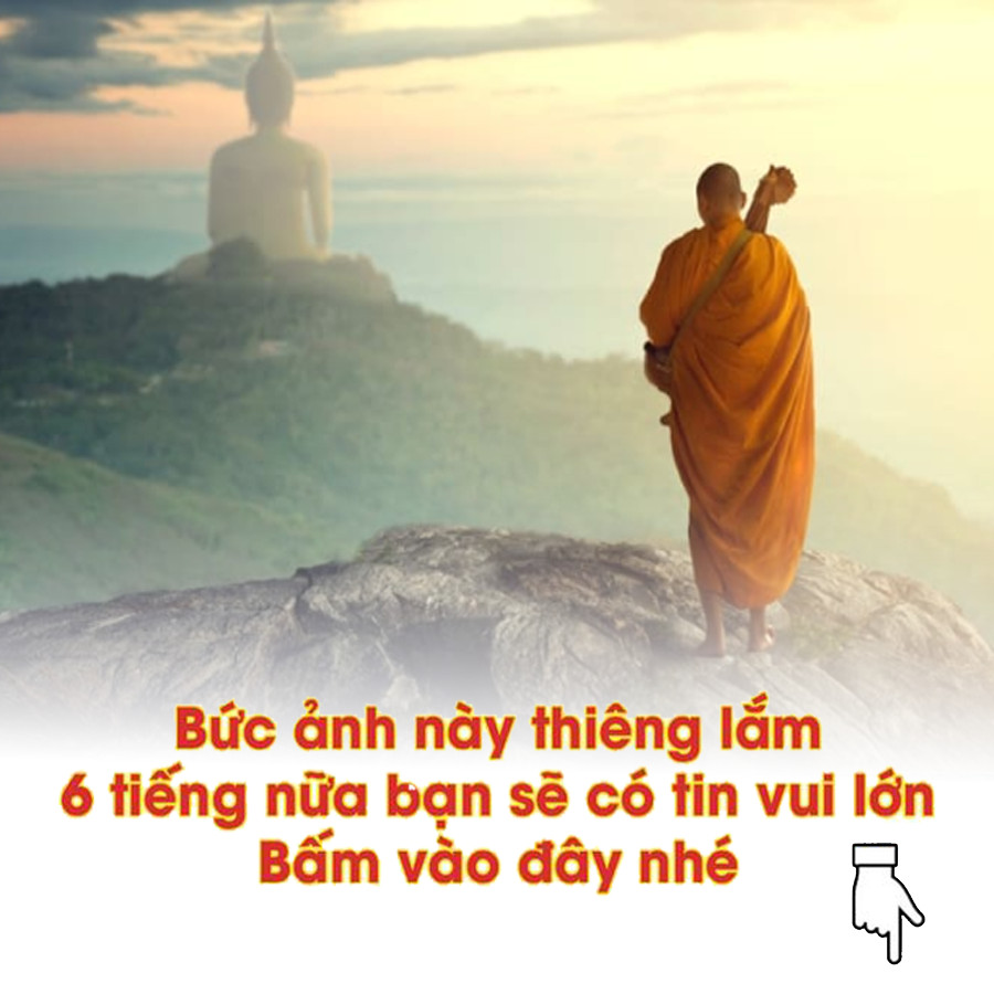 Nền Tảng Cho Cuộc Sống