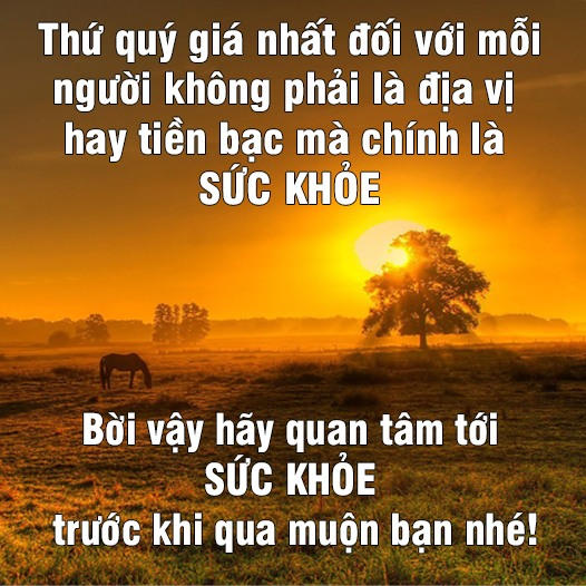 Hội Những Người Mắc Bệnh Tiểu Đường