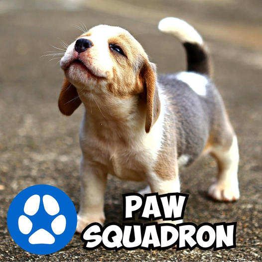 Paw Squadron