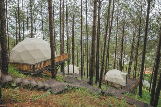 Lavender Glamping Dalat