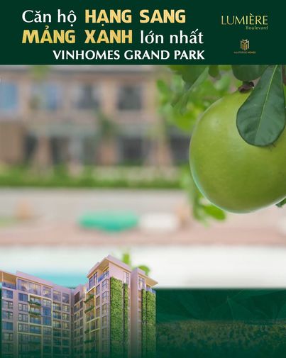 Vinhomes Grand Park x Đông Tây Land