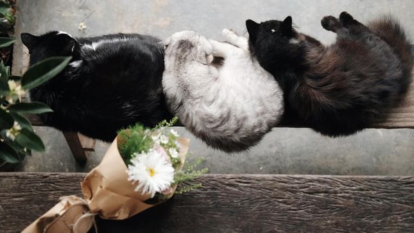 Ba đồng một mớ mộng mơ - Đà Lạt