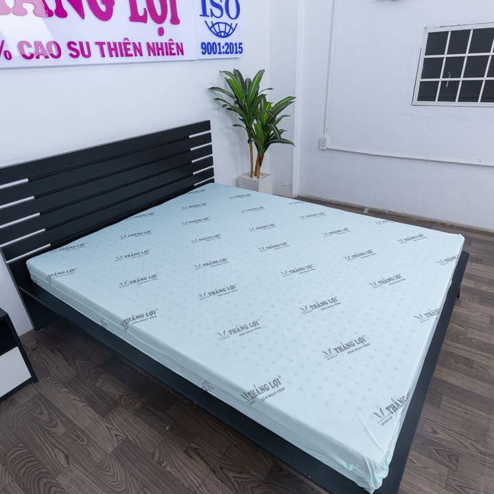 Tổng Kho Nệm Thắng Lợi Chính Hãng 