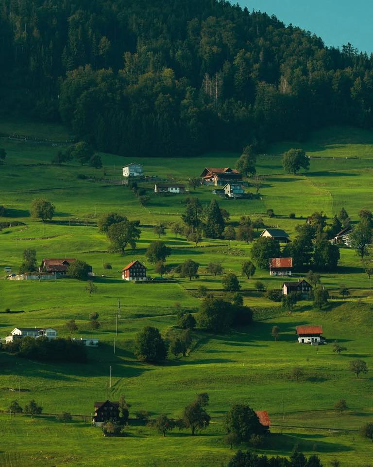 Bỏ Phố Về Rừng, Review Homestay, Farmstay…