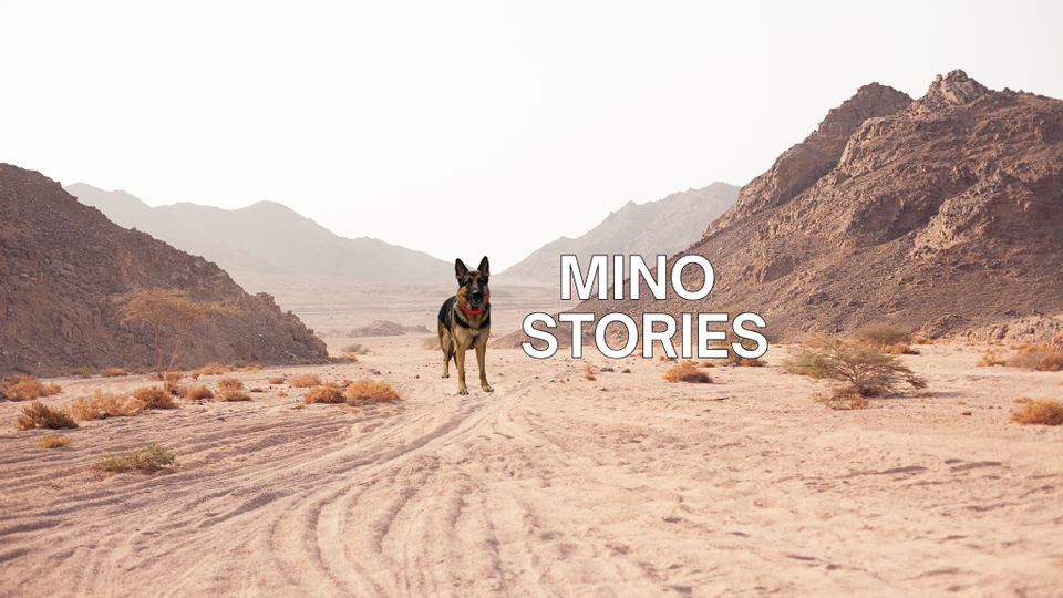 Vietnam Expat Community