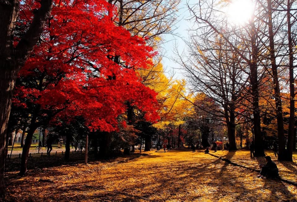 Andy Viet Thang Nguyen