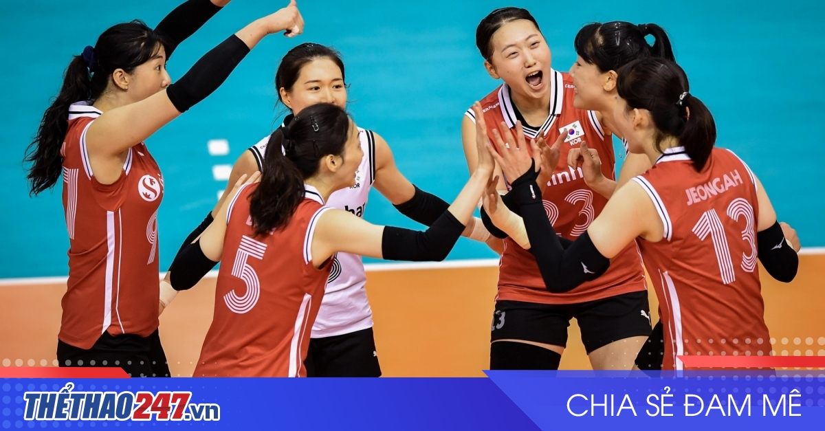 Bóng Chuyền 247
