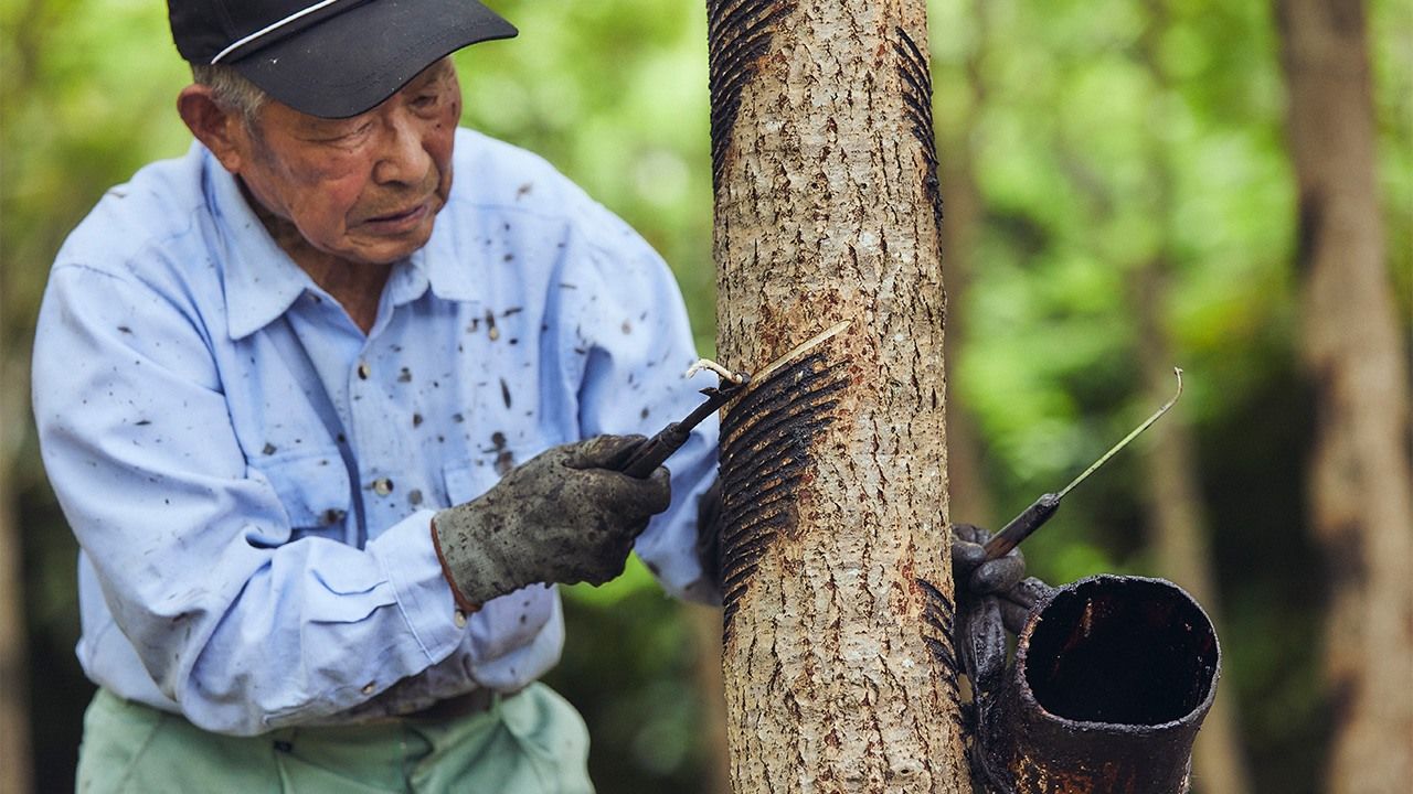 Nippon.com (English)