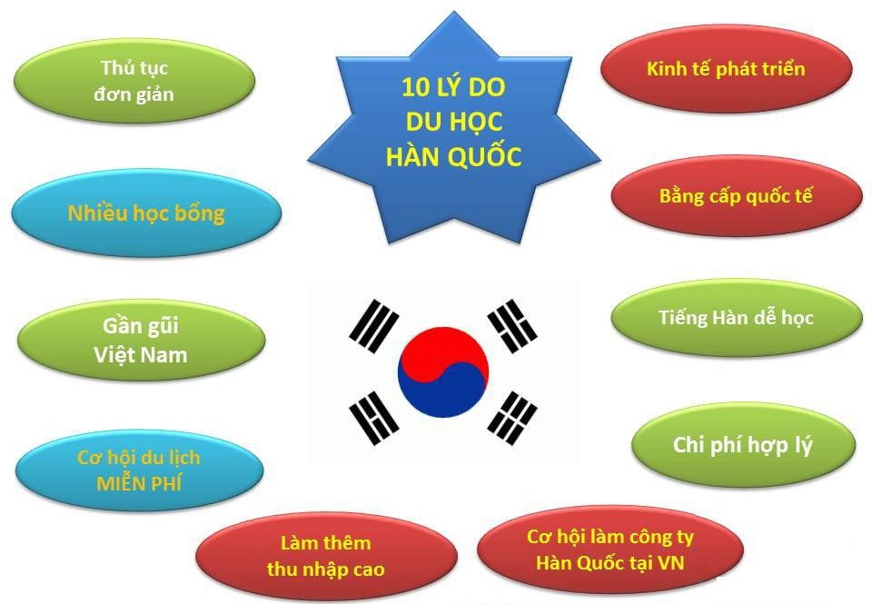 Hội Du Học Sinh Hàn Quốc