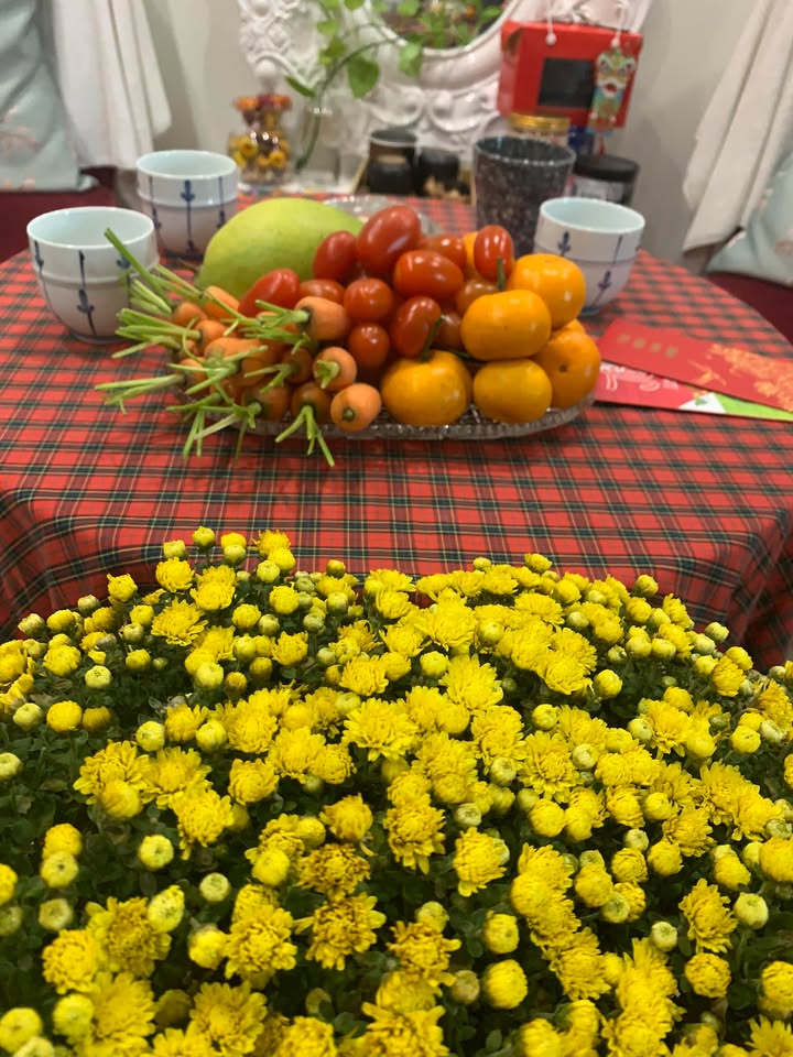 Viện Da Nhật Hàn