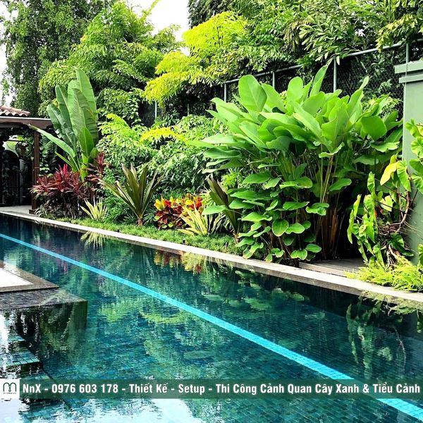 NnX - Người Làm Vườn