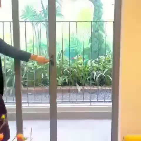 Bất Động Sản Căn Hộ