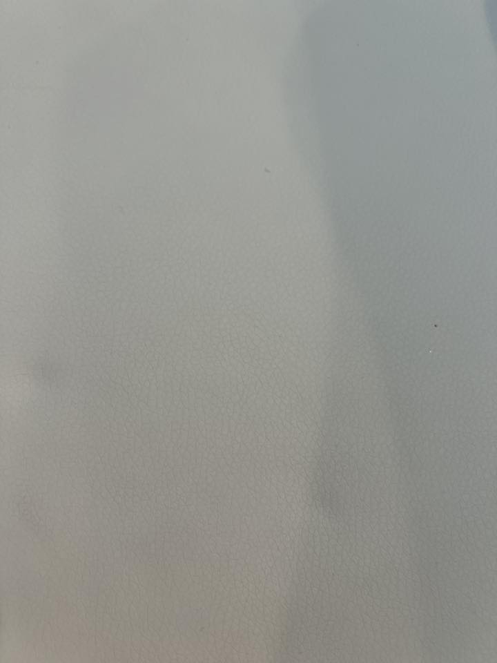 Người Việt Tennessee