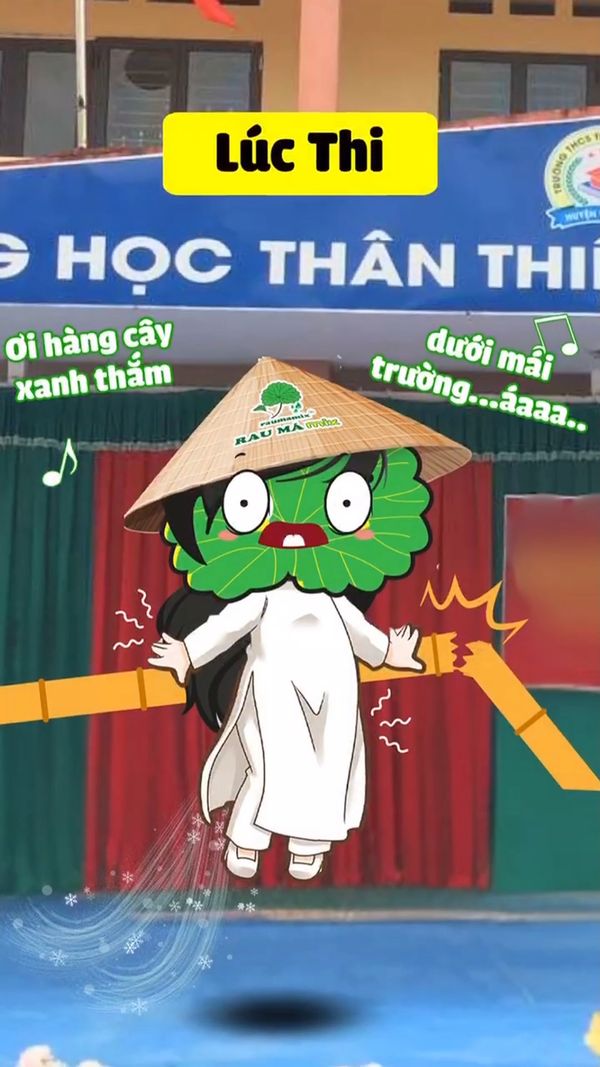 Rau Má Mix