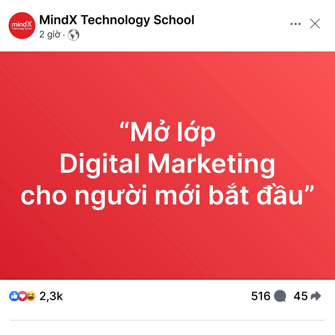 MindX Technology School