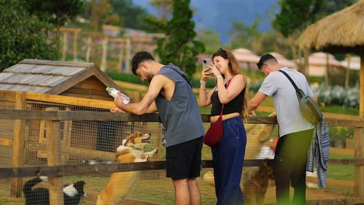 The Florest - Hoa Trong Rừng