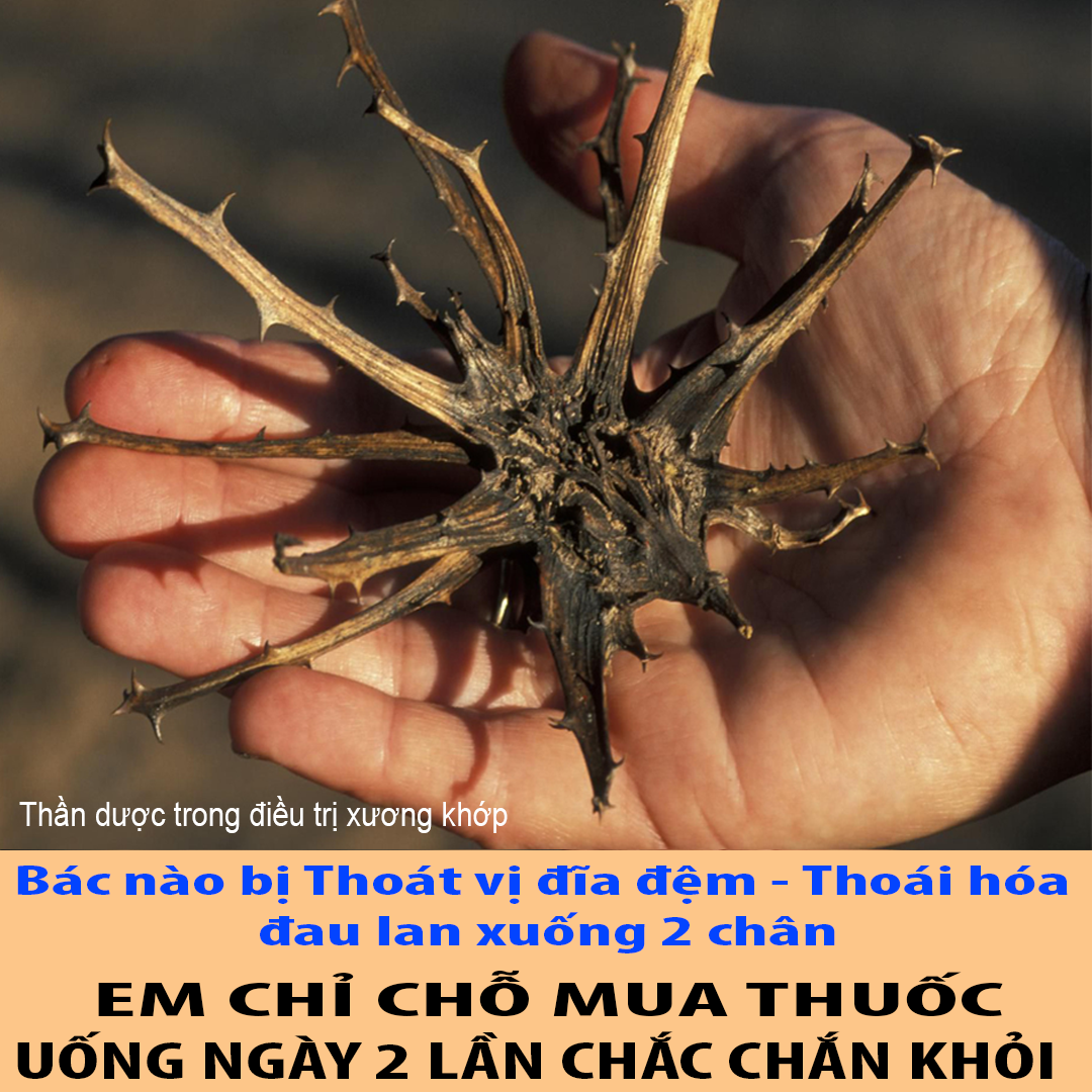Bế Thị Hiền