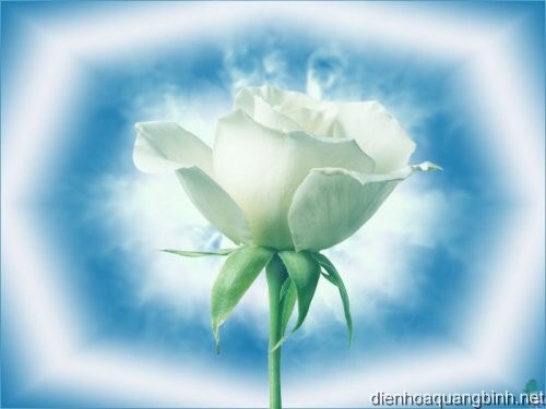 Hội Trợ Giúp Người Việt Nam Tại Singapore