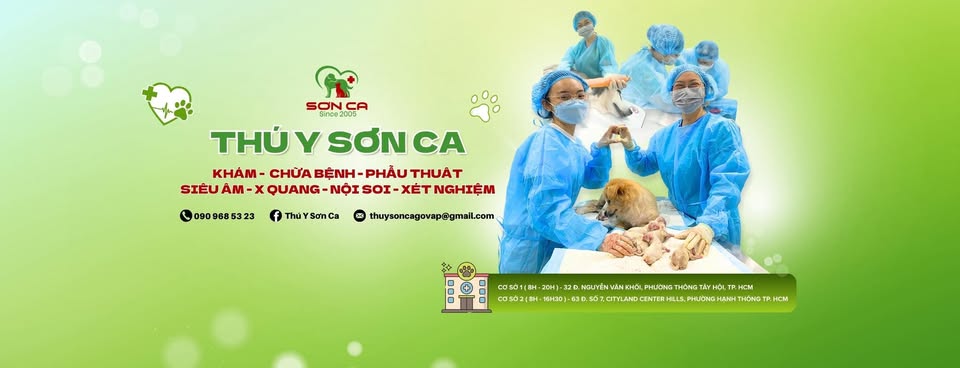 Phòng Khám Thú Y Sơn Ca