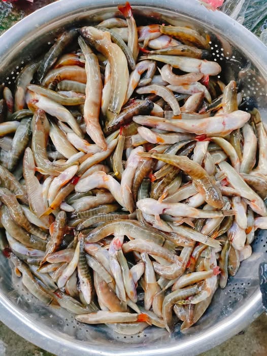 All about Nghề Nail - Bán tiệm, Cần thợ, Tax, Training..  