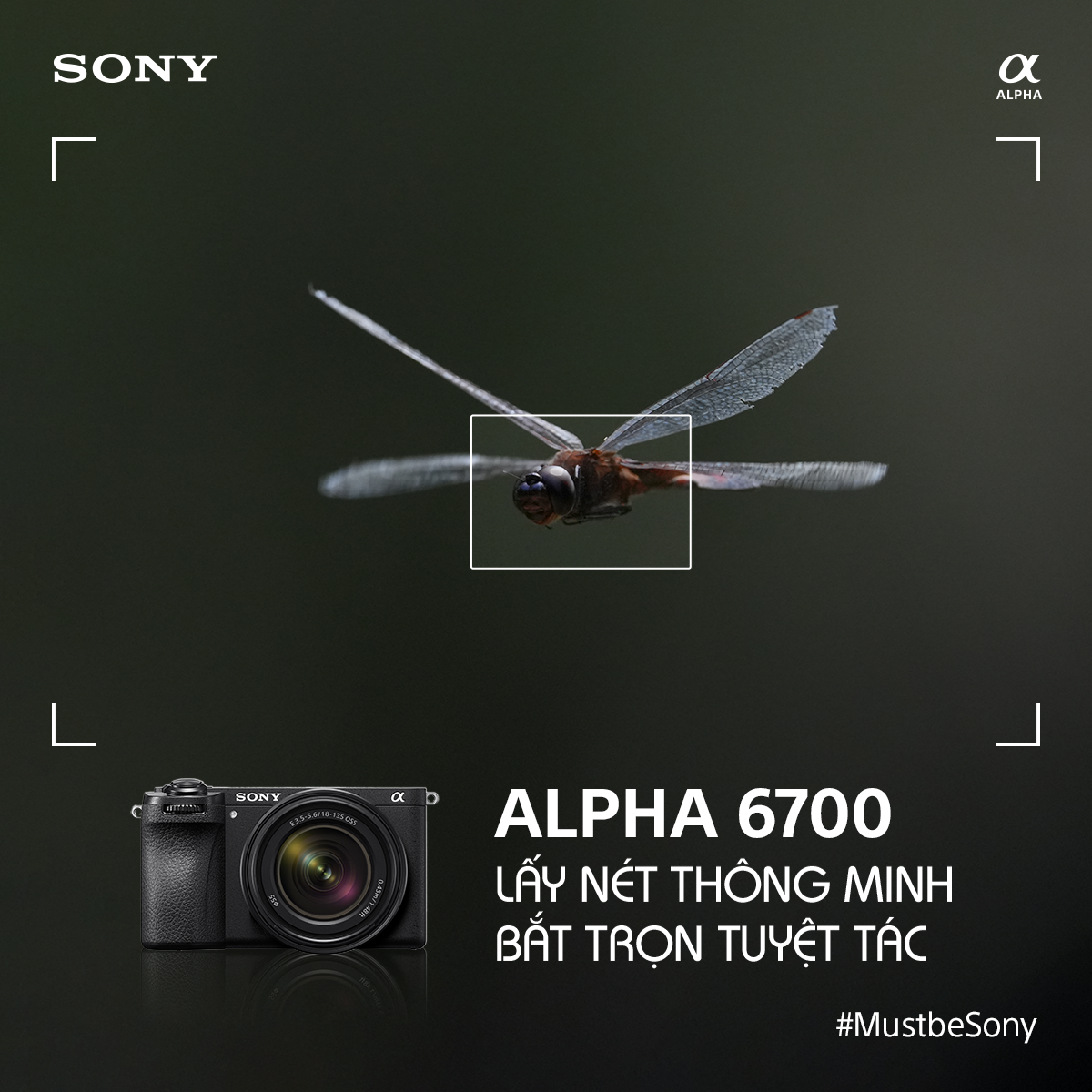 Sony - Alpha Vietnam