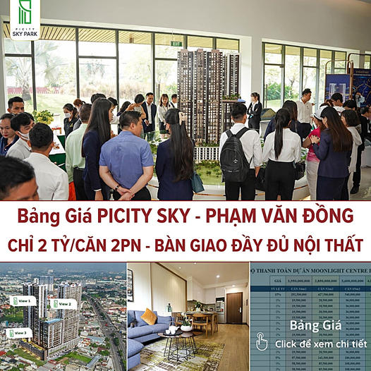 Picity Group