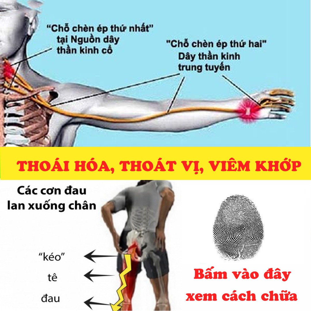Sức Khỏe Là Vàng