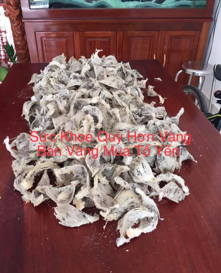 Chợ Yến Sào Việt Nam