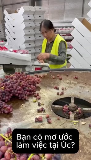 Phát triển lao động xuất khẩu Á - Âu