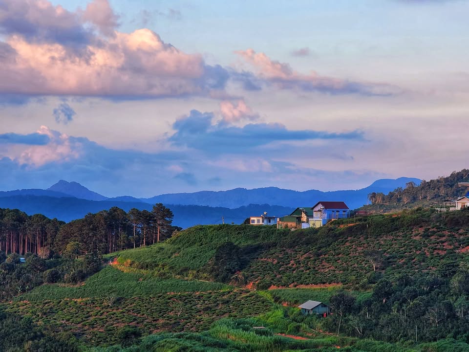 Expats in DaLat Vietnam - Official page