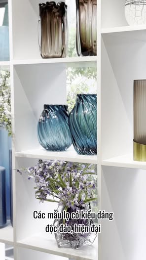 AMASE - Modern and Elegant Decor