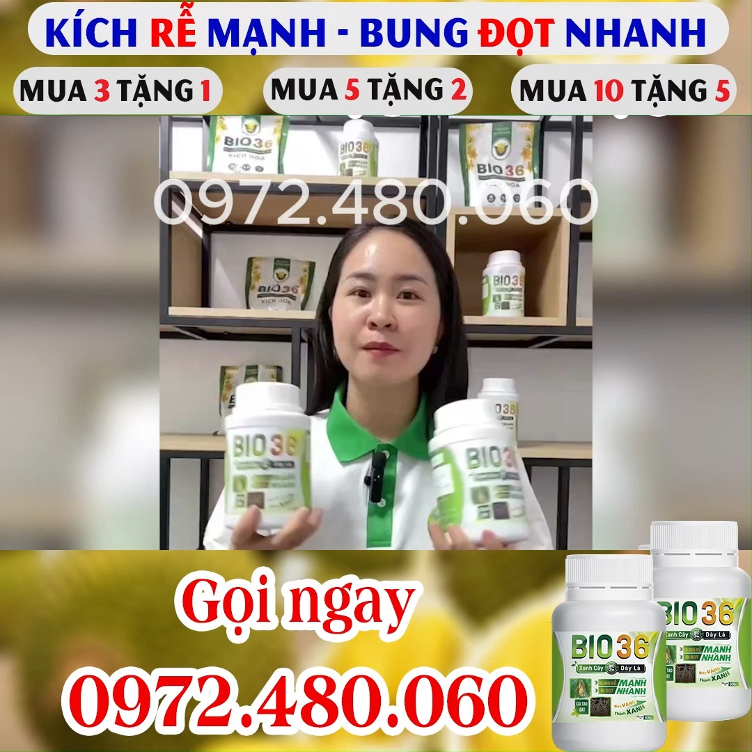 BIO 36-Kích Rễ Mạnh,Đi Đọt Nhanh,Phục Hồi,Phát Triển