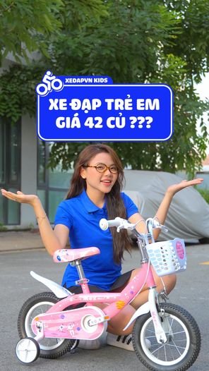Xedap.vn - Chuỗi siêu thị xe đạp xe điện cho cả gia đình