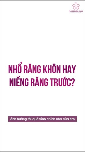 Plum Dental Clinic