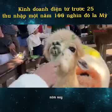 Trung tâm thương mại điện tử