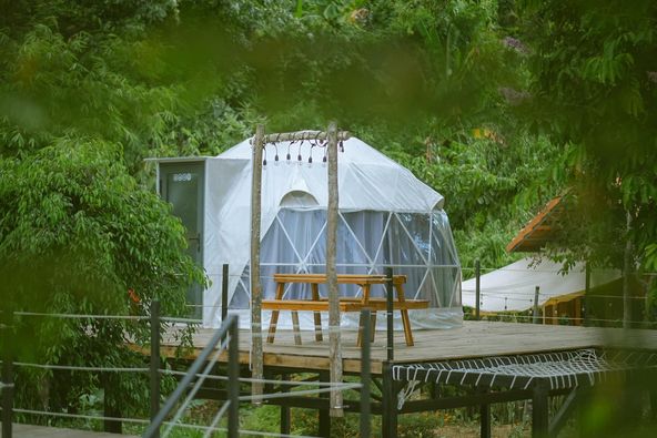 TC.Rainforest - Terrarium designs