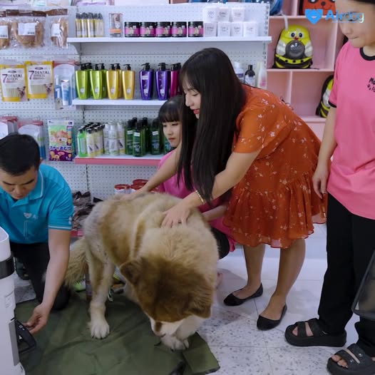 Showroom Airdog CMT8, Quận 10 (623 CMT8)