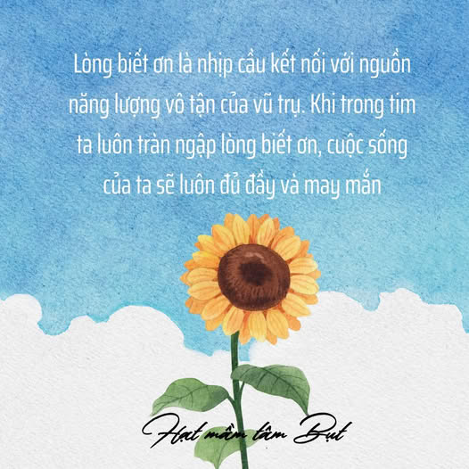 Hạt mầm tâm Bụt
