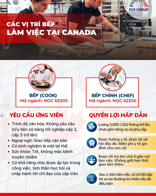 DSS Group - Giáo dục và Di trú Quốc tế