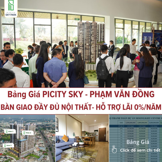 Picity Group