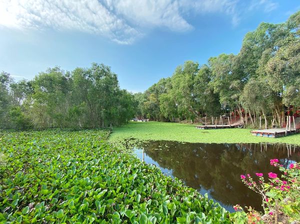 Du Lịch Đông Tây Xanh