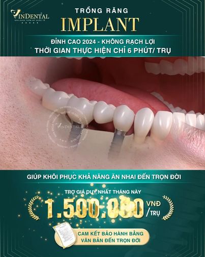 Viện Nha Khoa Hàng Đầu Châu Á VinDental - Trụ Sở HCM