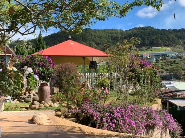 Homestay HIÊN NHÀ CỎ HOA - Nhà Xinh