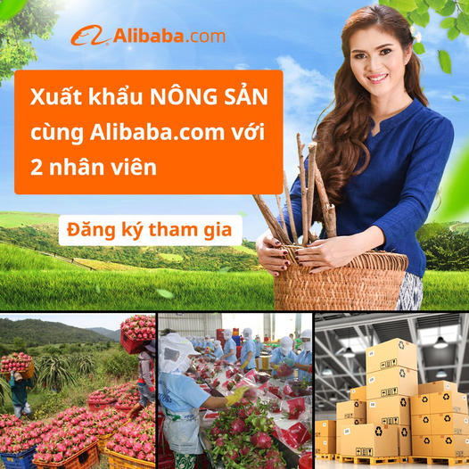 Sell on Alibaba.com