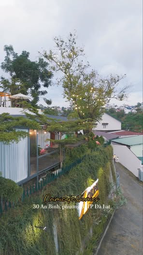 The KUPID - Dalat no single