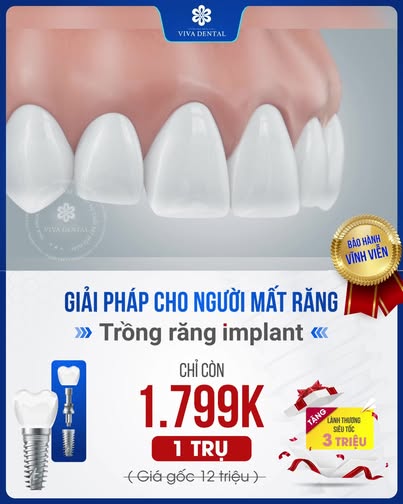 Viva Dental Hồ Chí Minh Việt Nam